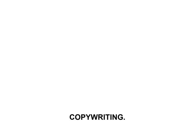 be your professional copywriter
